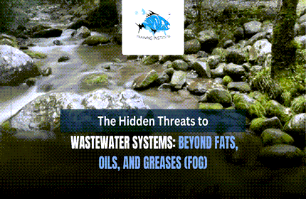 Water in a creek flowing over rocks