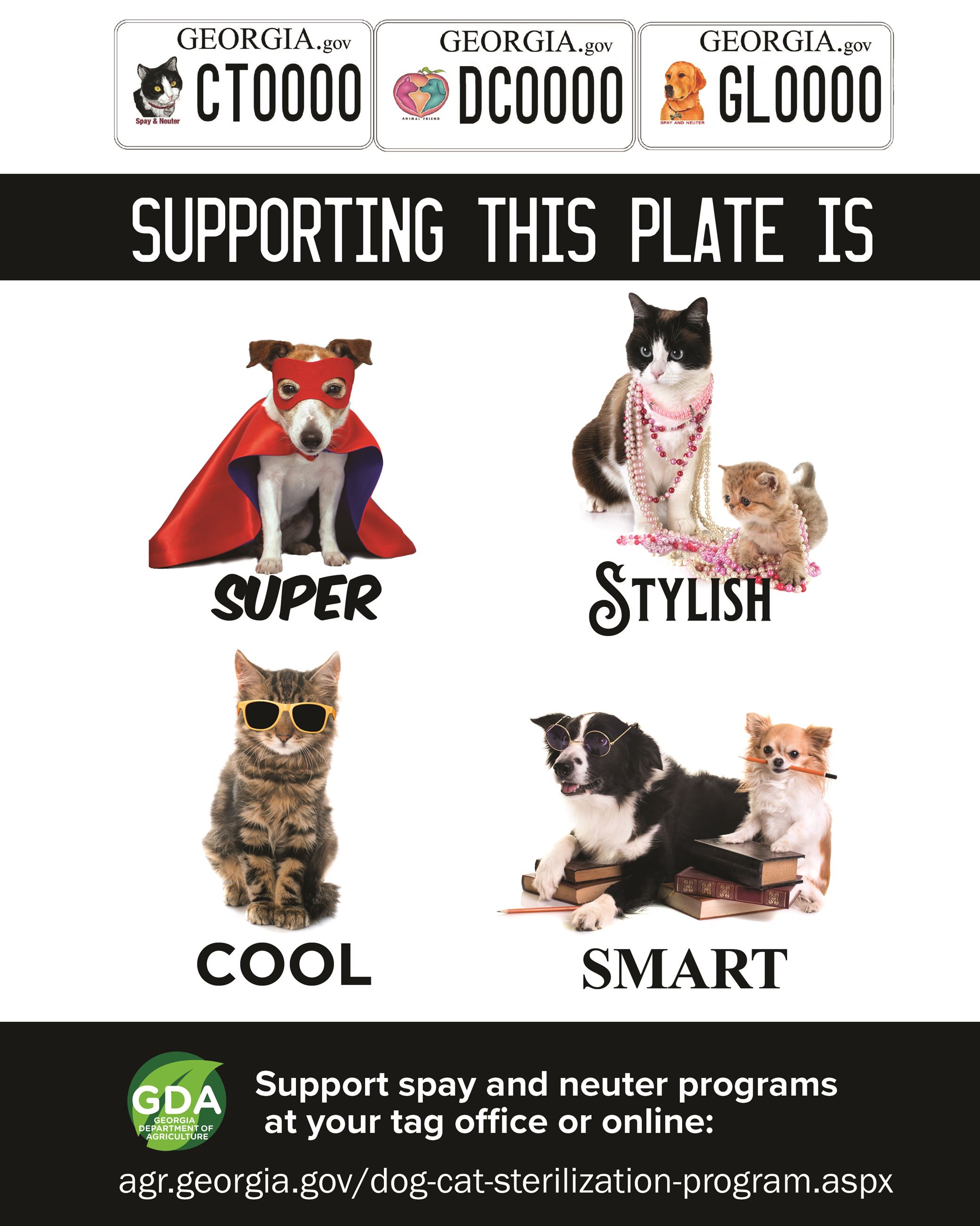 Cats and dogs on a poster for Georgia Tags
