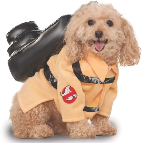 Small cream colored dog wearing a Ghostbuster uniform. 